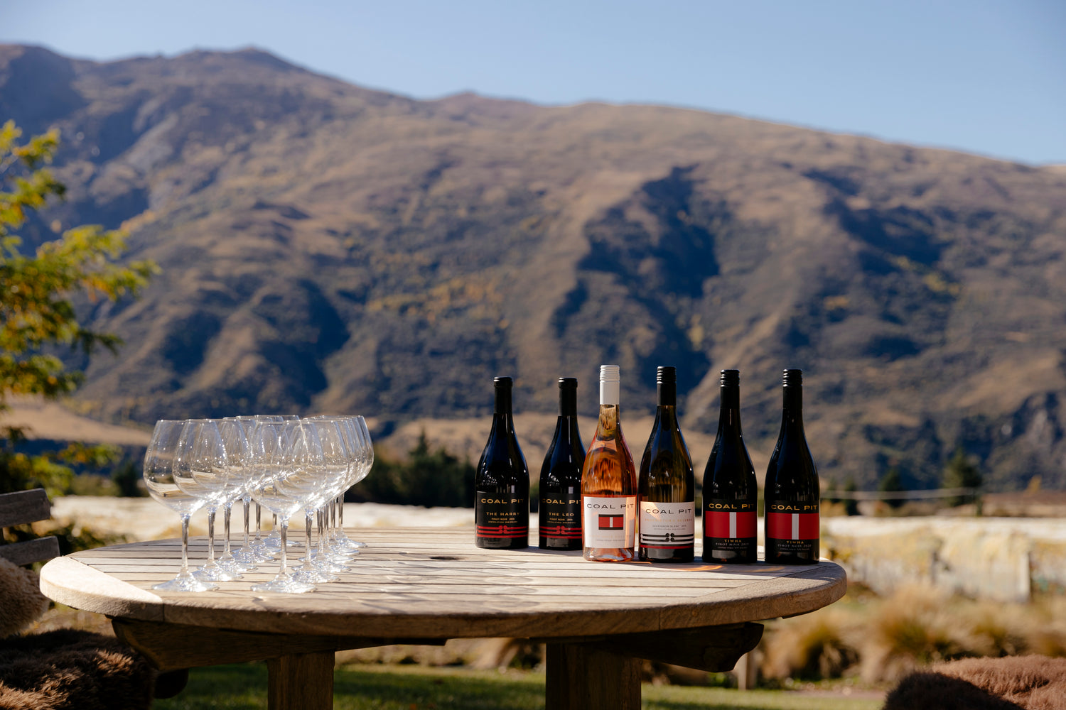 A selection of Coal Pit Wines during harvest period