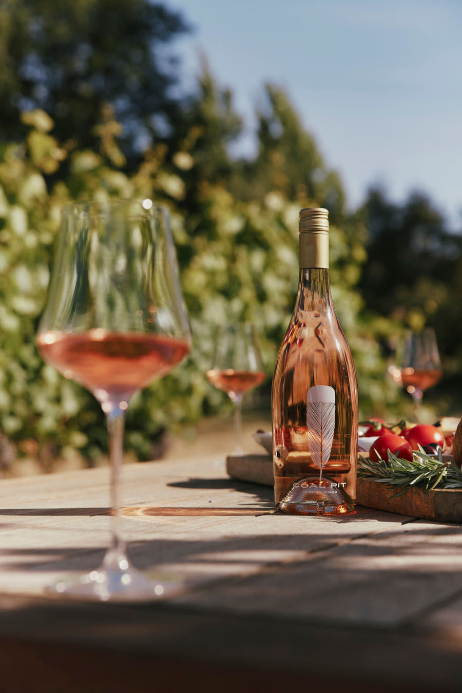 2025 Pinot Noir Rosé