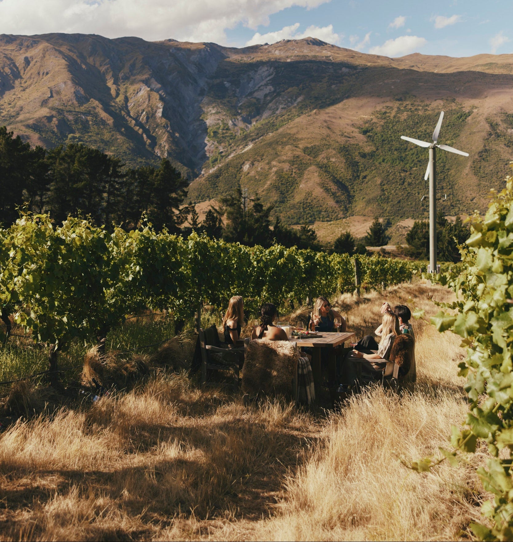 People sitting at a table in a vineyard with mountains and a wind turbine in the background