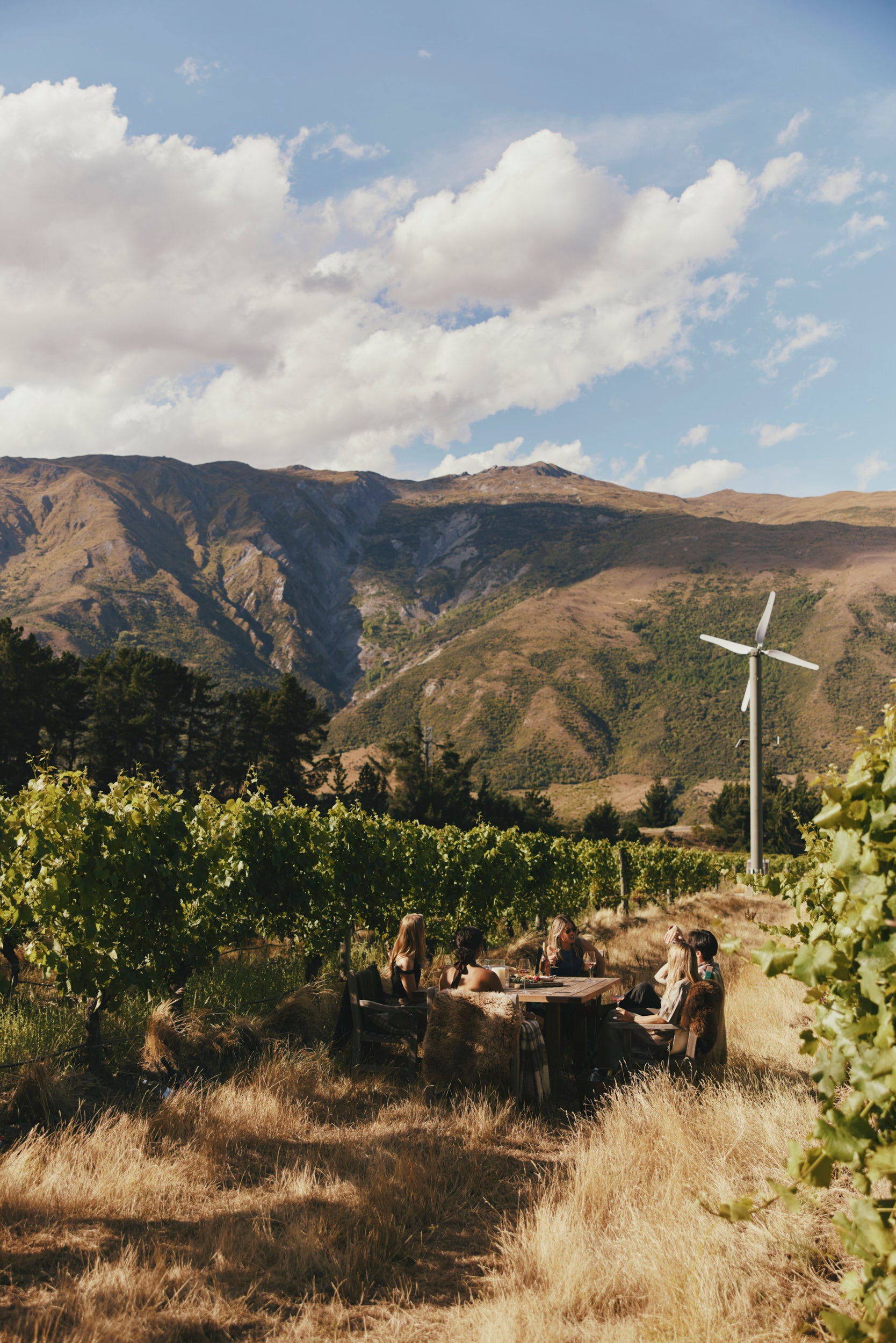 People sitting at a table in a vineyard with mountains and a wind turbine in the background