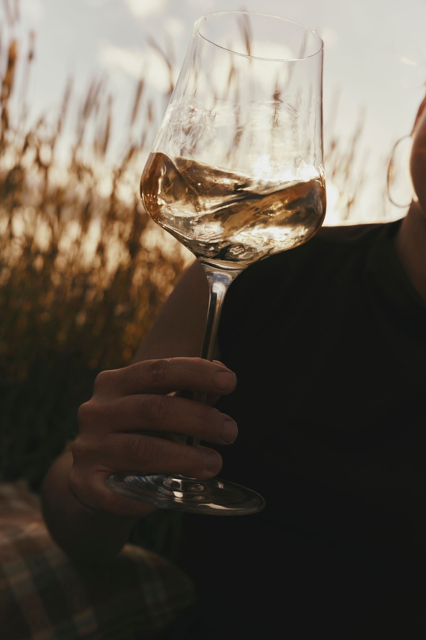 2023 Proprietor's Reserve Sauvignon Blanc