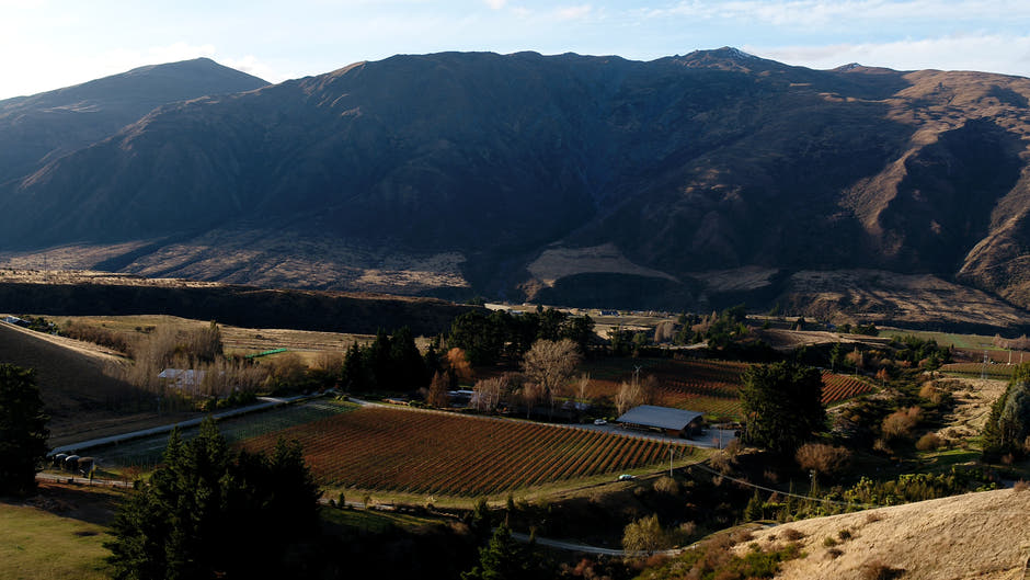 Winter landscapes of Coal Pit Vineyard